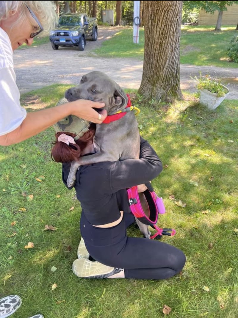 Take Me Home: Advocates for Transport