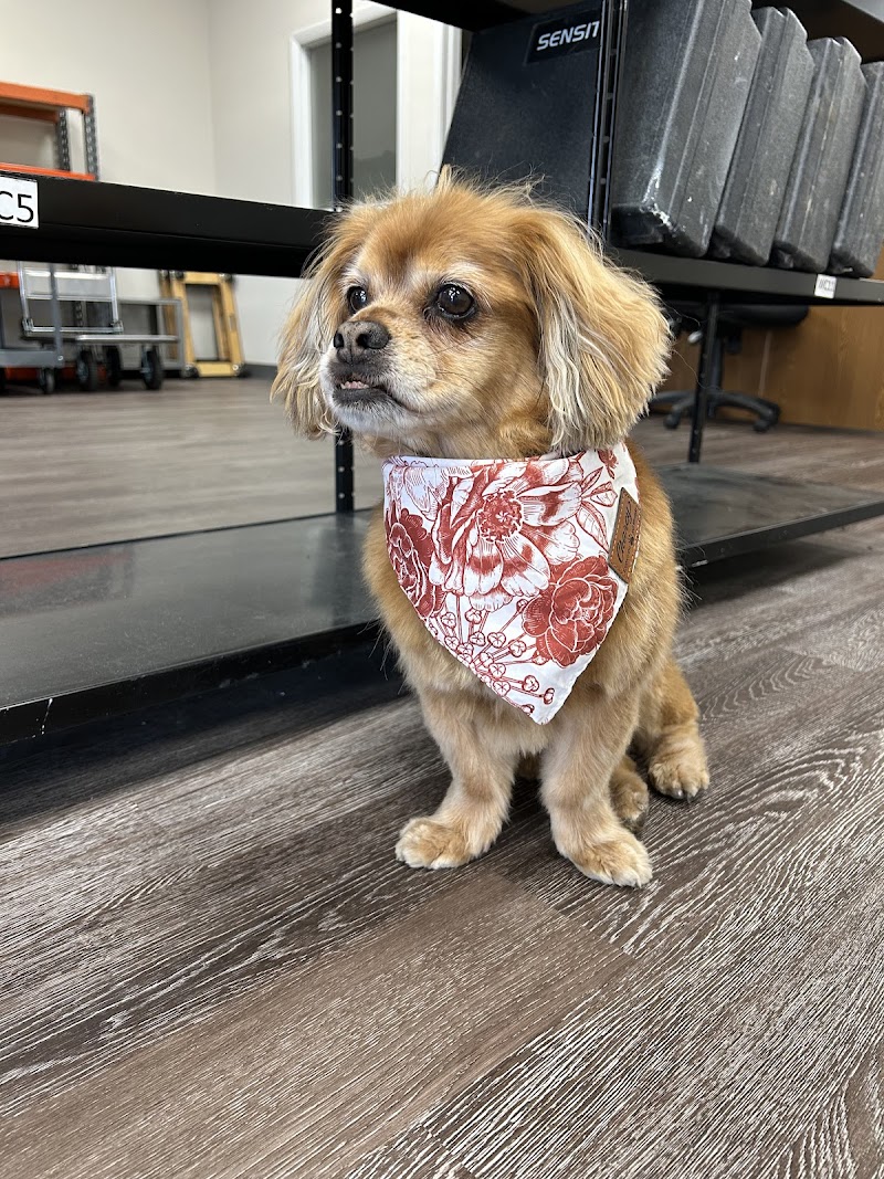 Tangled Tails Grooming Salon photo 2