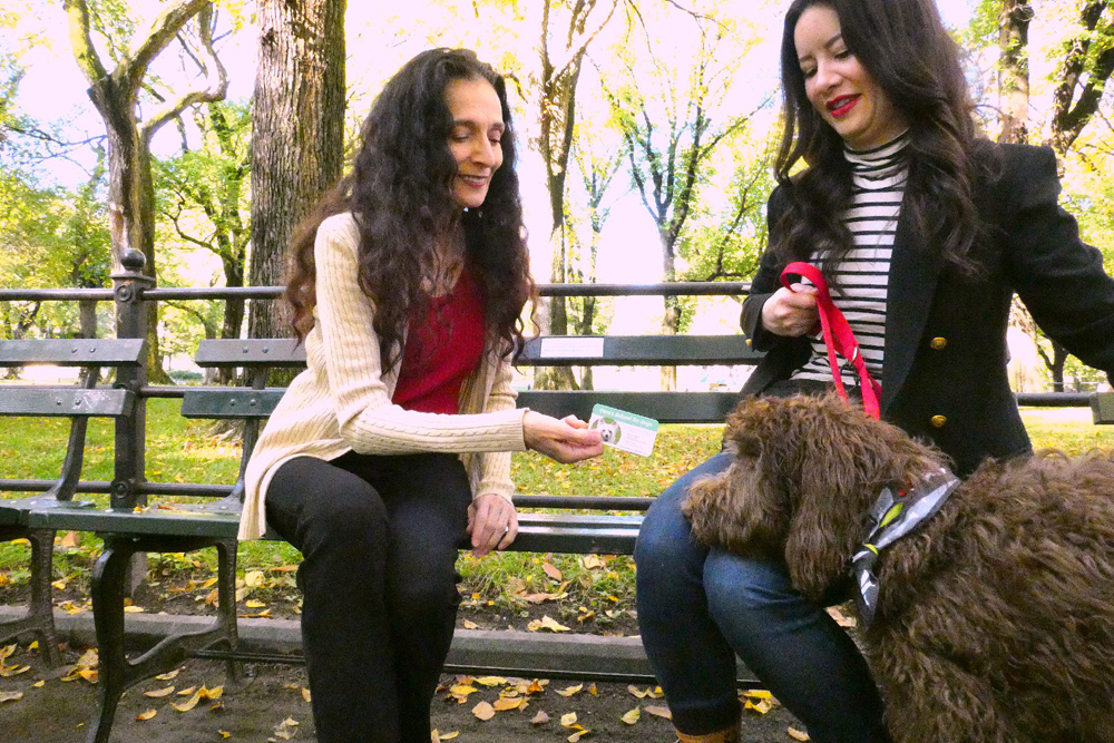 Tara's School for Dogs