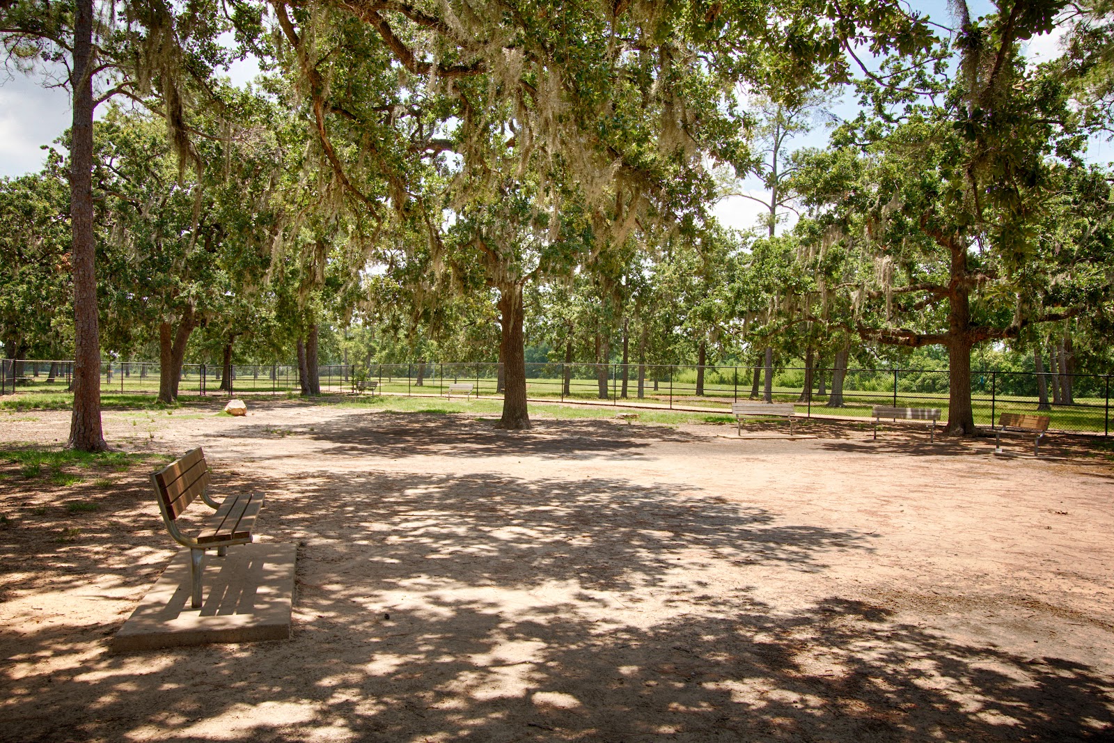 TC Jester Dog Park