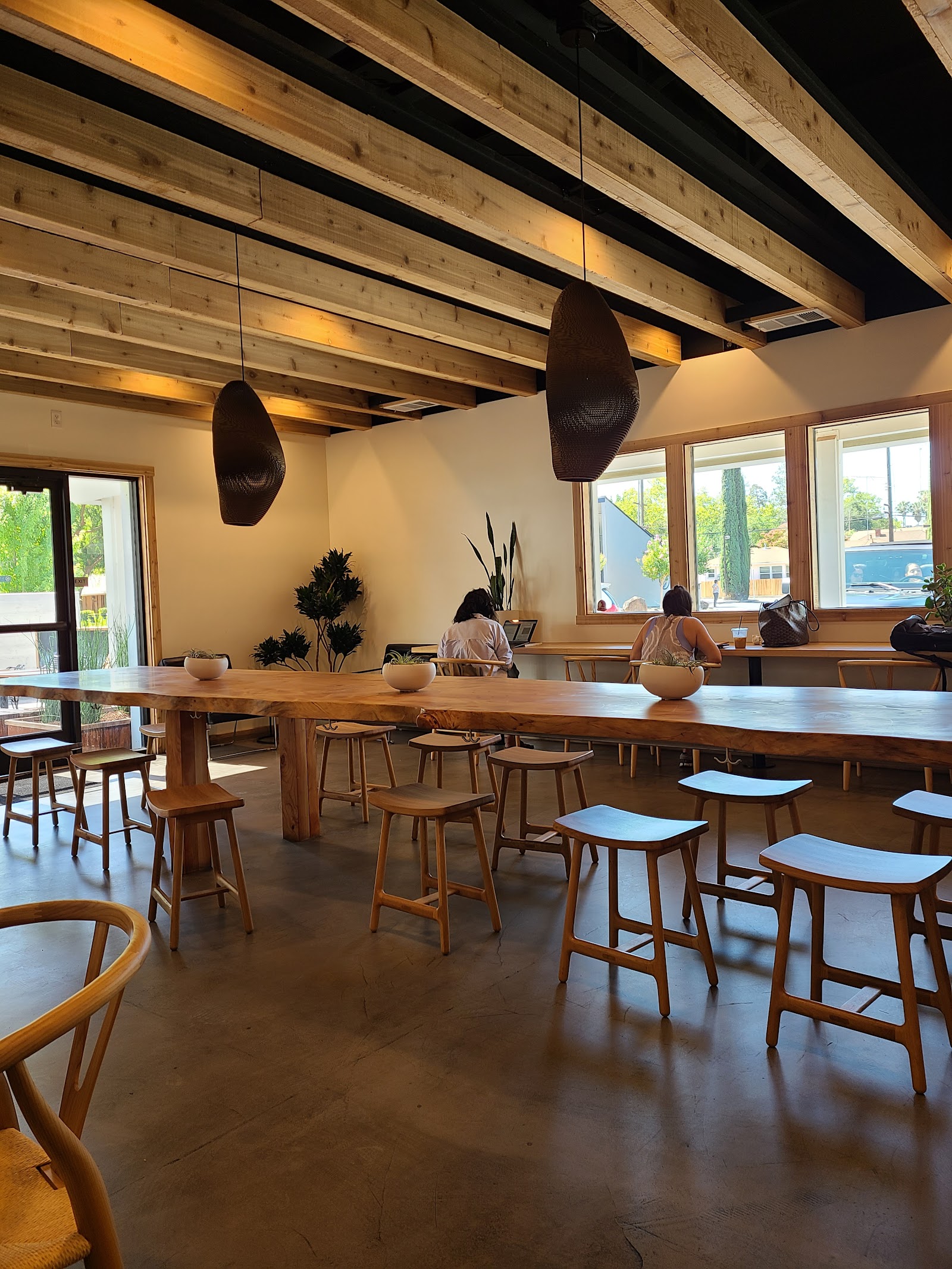 Temple Coffee