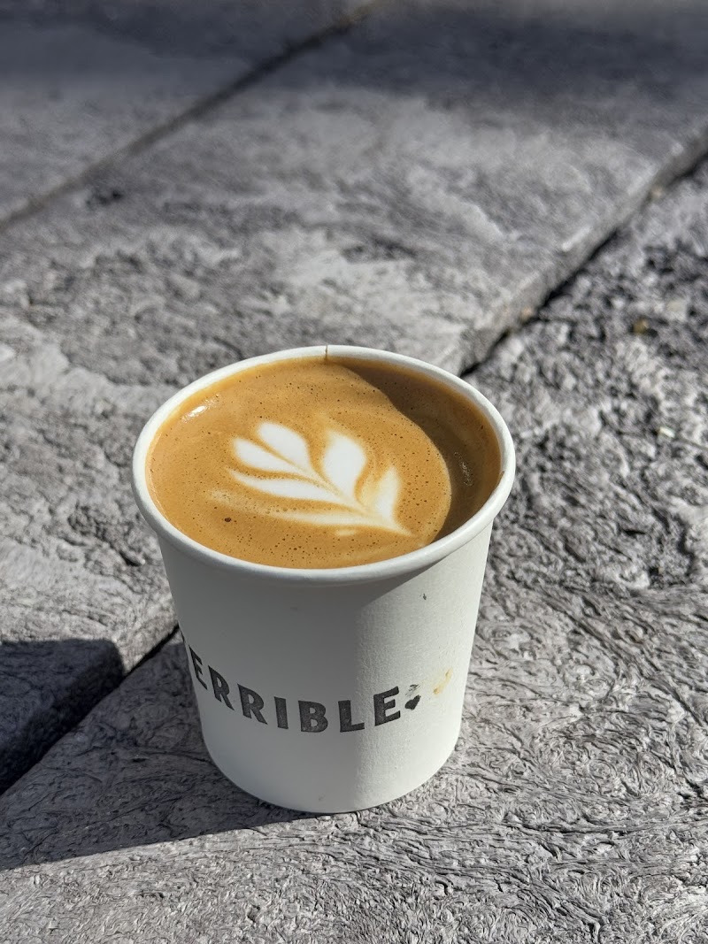 Terrible Love photo 3