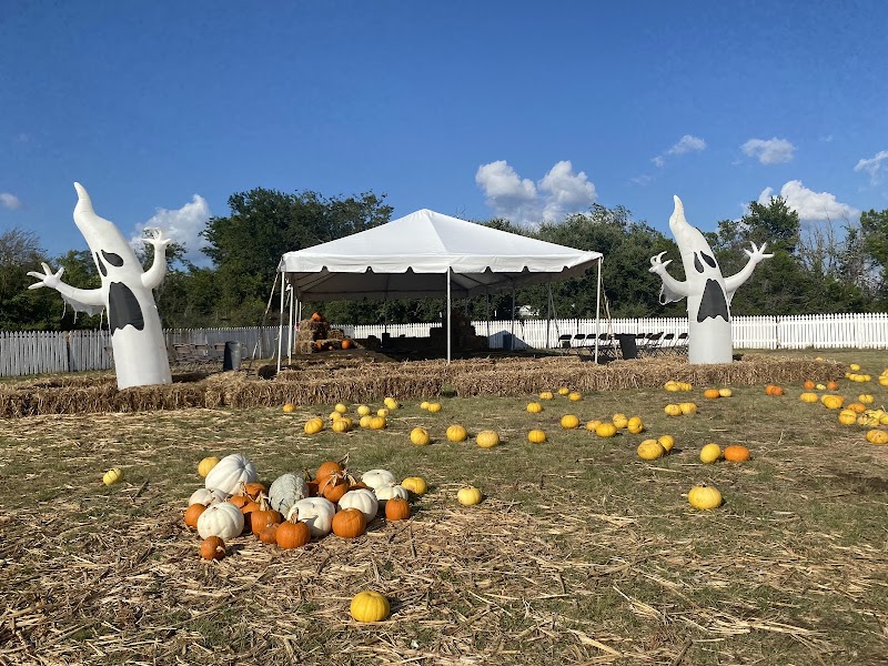 Texas Humane Heroes photo 3