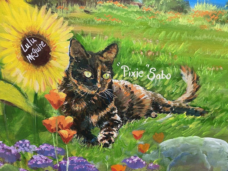 Thanicare San Diego photo 2