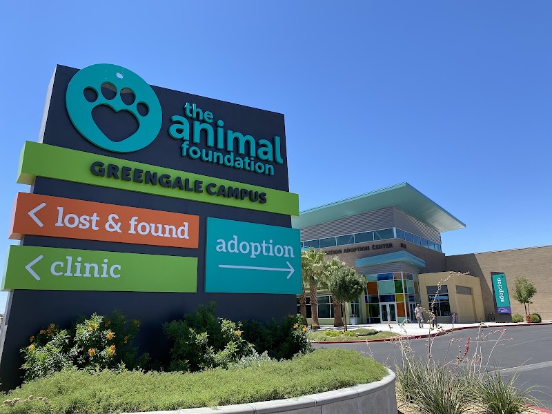 The Animal Foundation