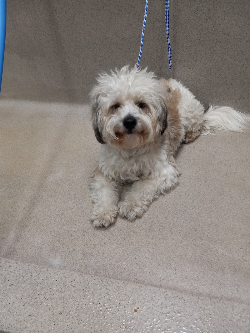 The Animal Keeper photo 2