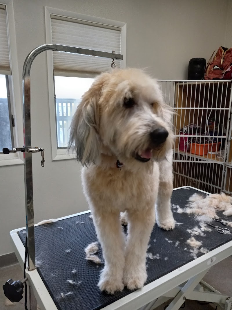 The Animal Keeper photo 3