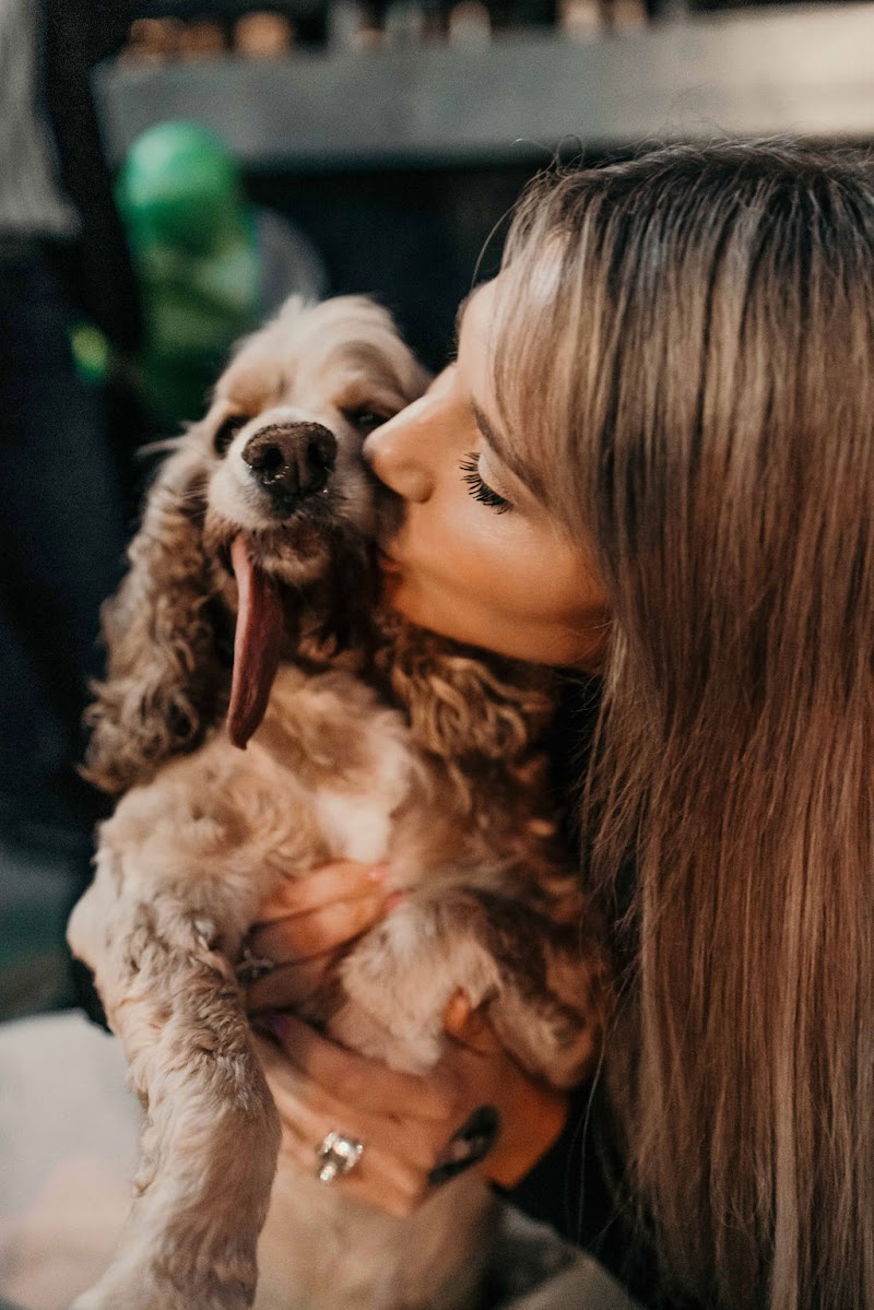 The Animal Pad photo 3