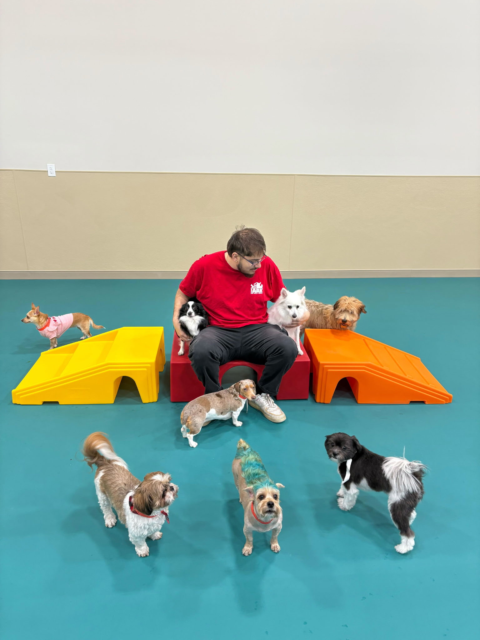 The Ark Pet Spa & Hotel - Orlando