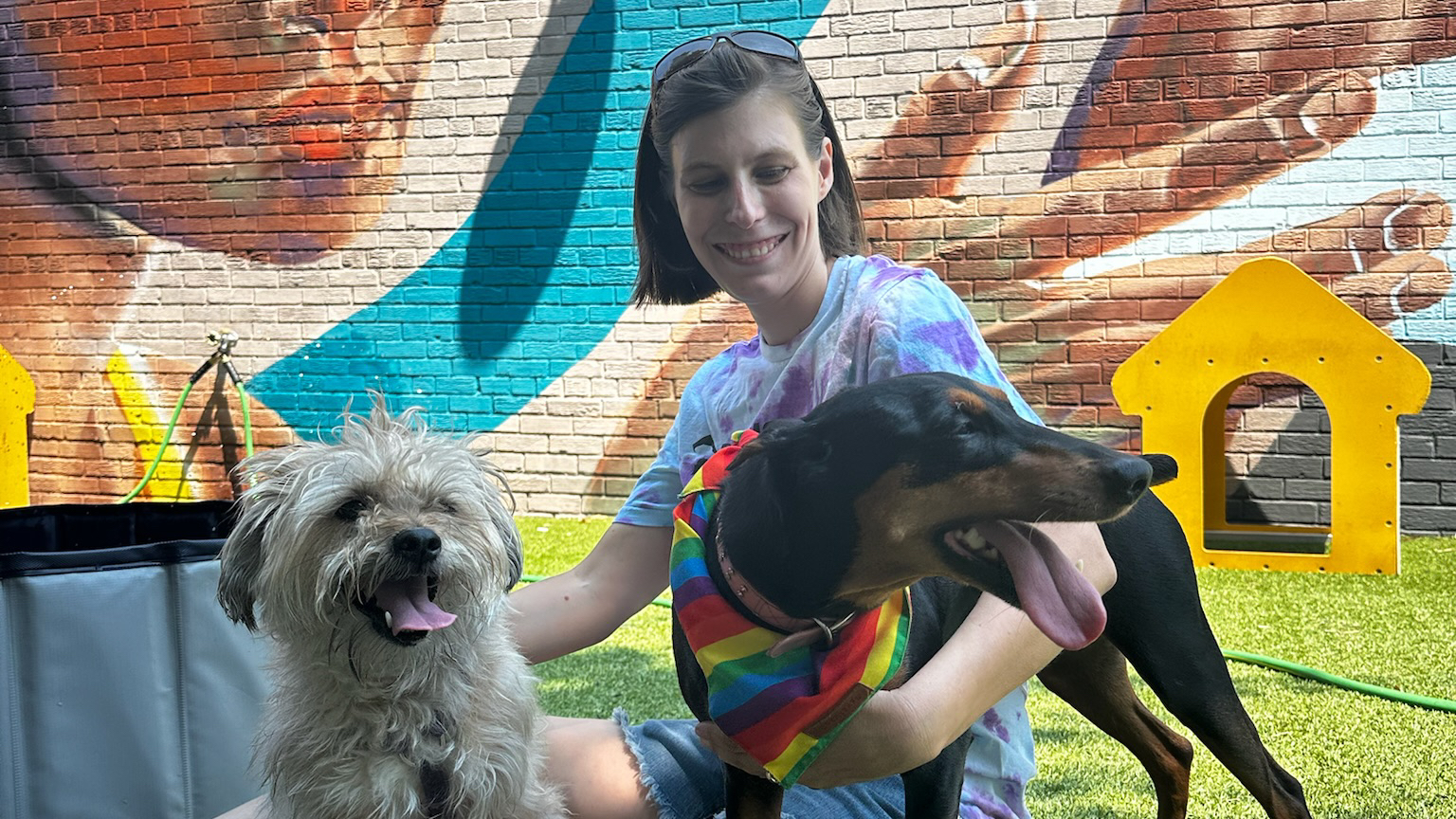 The Bark Park by District Dogs
