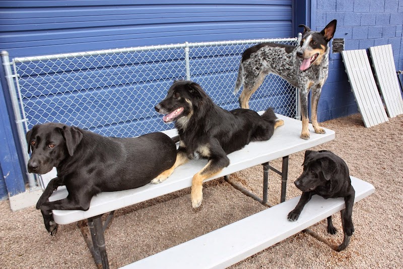 The Big Backyard photo 2