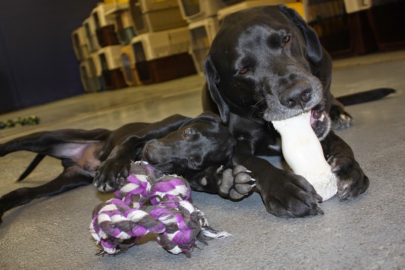 The Big Backyard photo 3