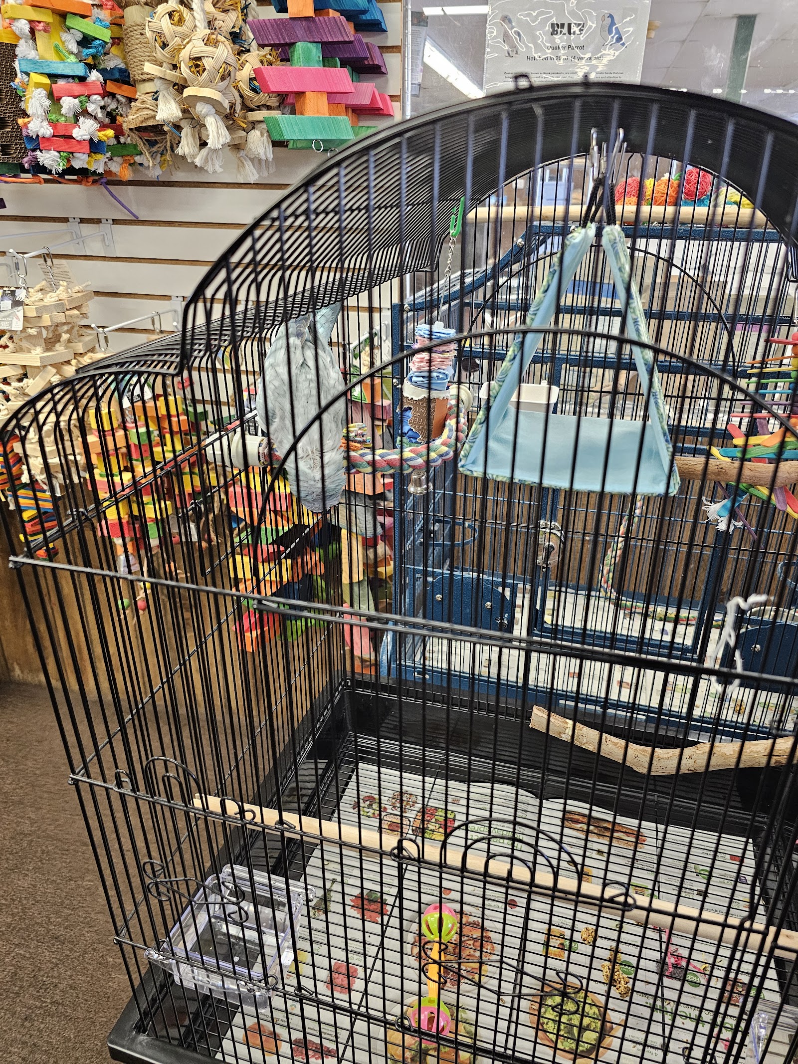 The Bird Store