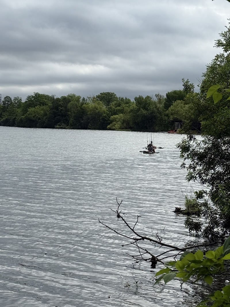 The Boardwalk at Lady Bird Lake photo 2