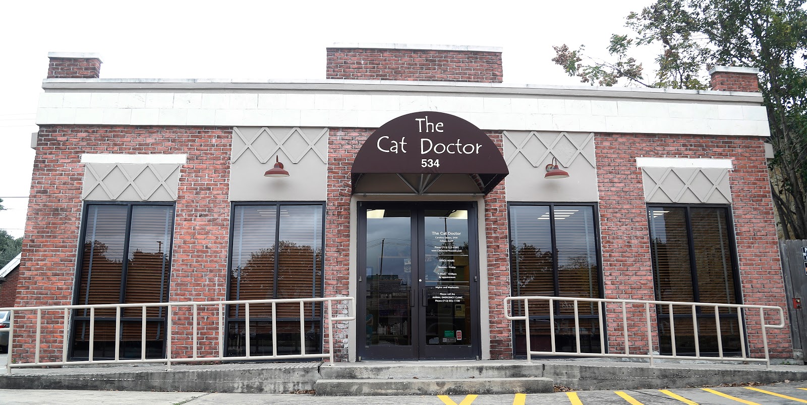The Cat Doctor