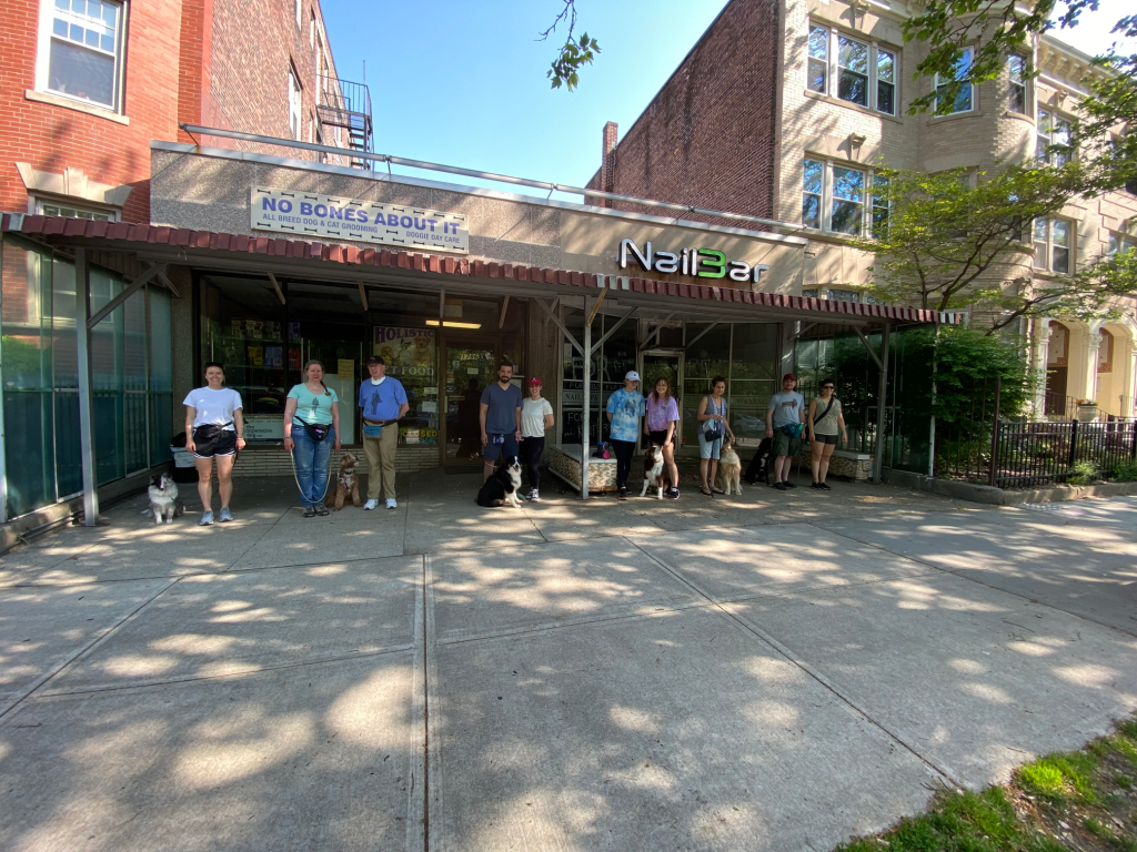 The Cooperative Dog photo 2