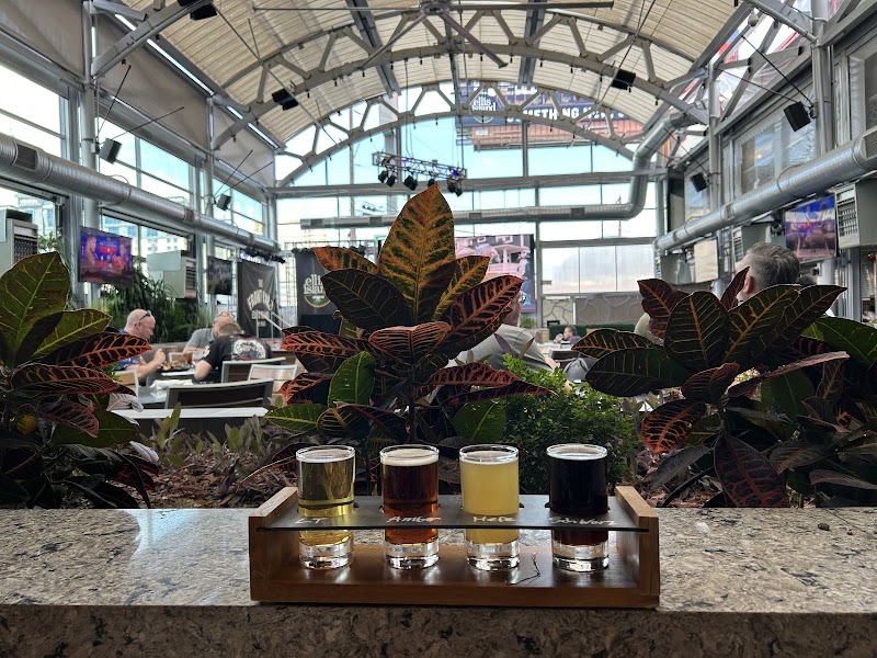 The Front Yard photo 3