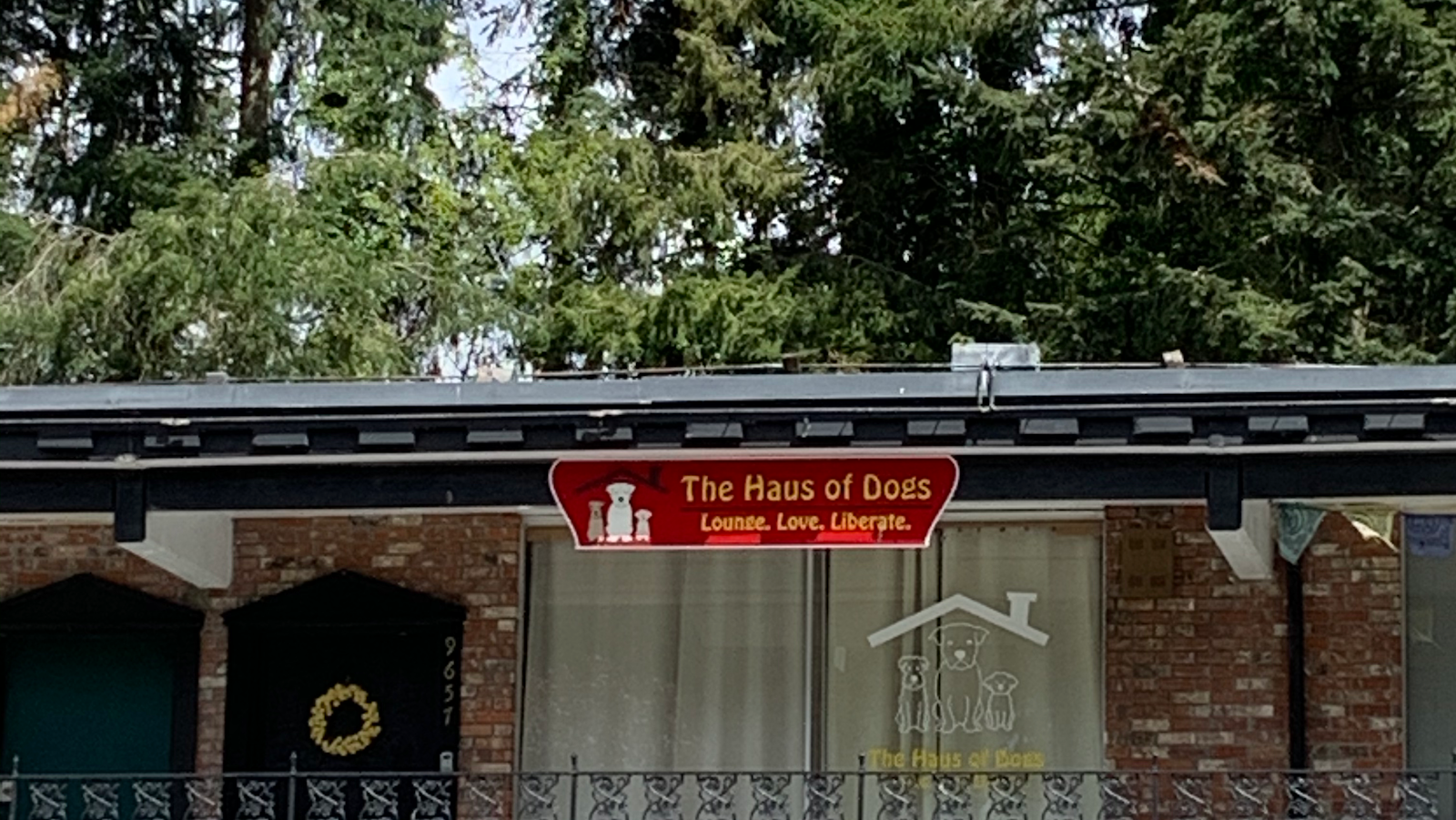 The Haus of Dogs