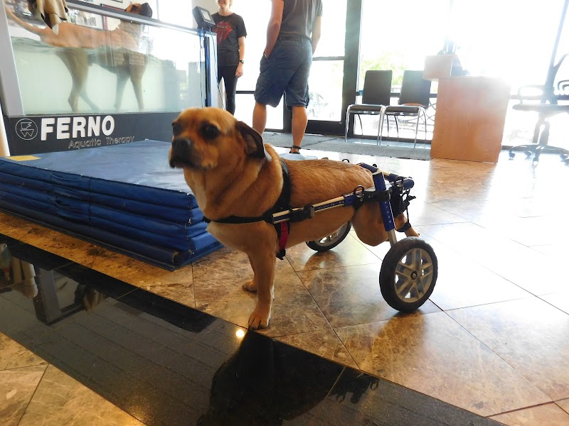 The K9 Body Shop PC photo 3