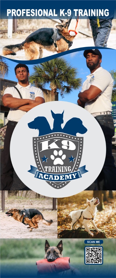 The K9 Training Academy Orlando LLC