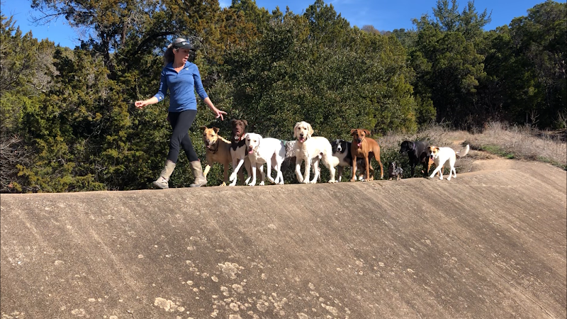 The Naked Dog photo 2