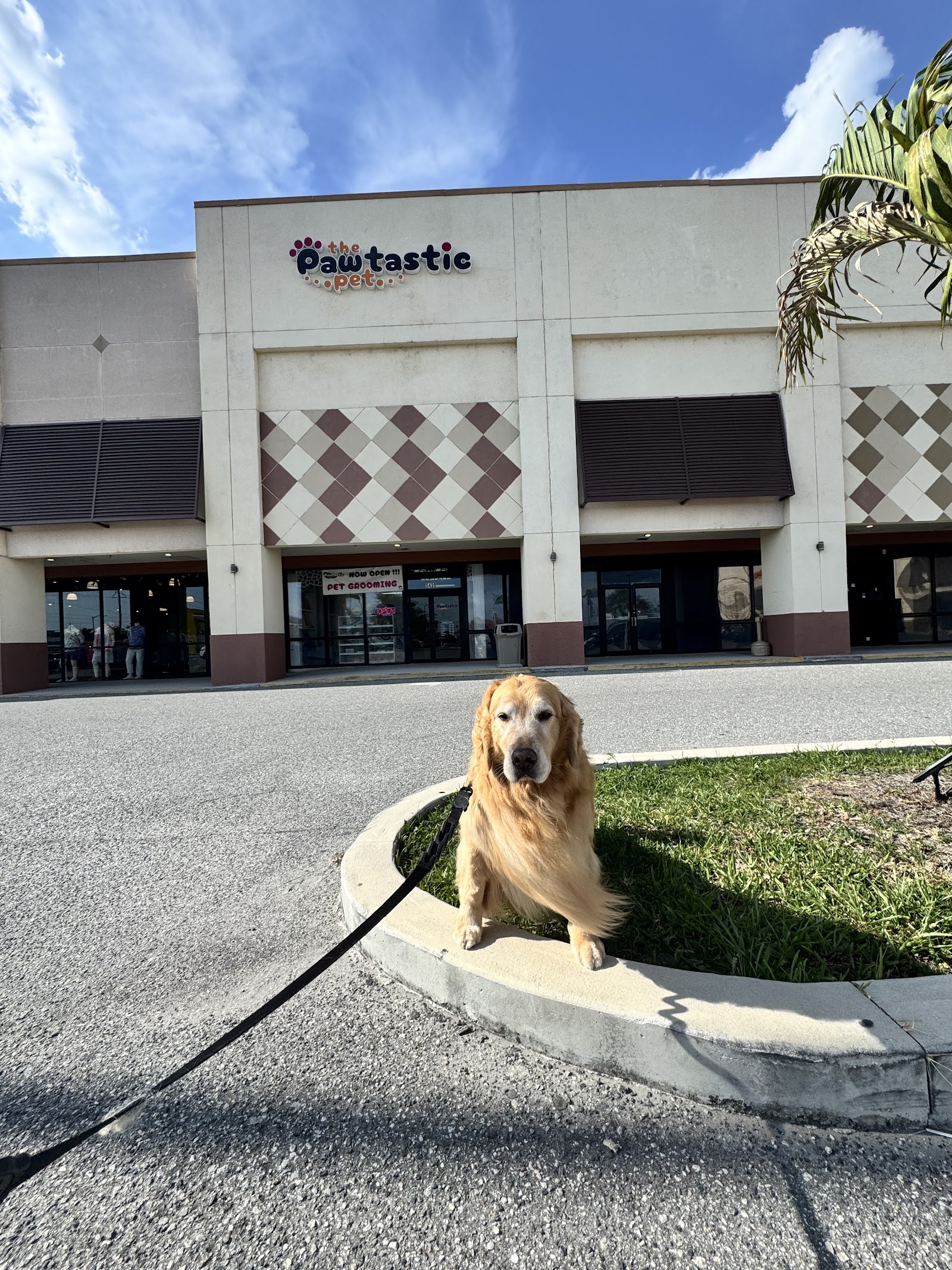 The Pawtastic Pet Shop