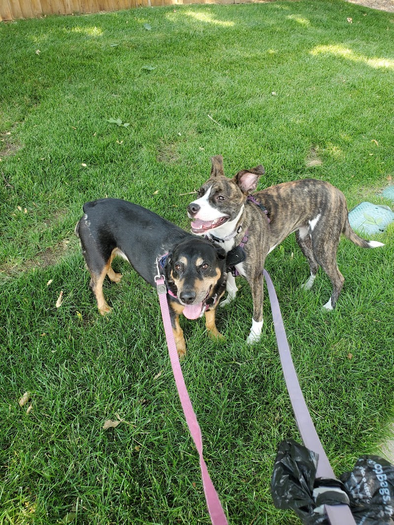 The Pet Nanny of Colorado LLC