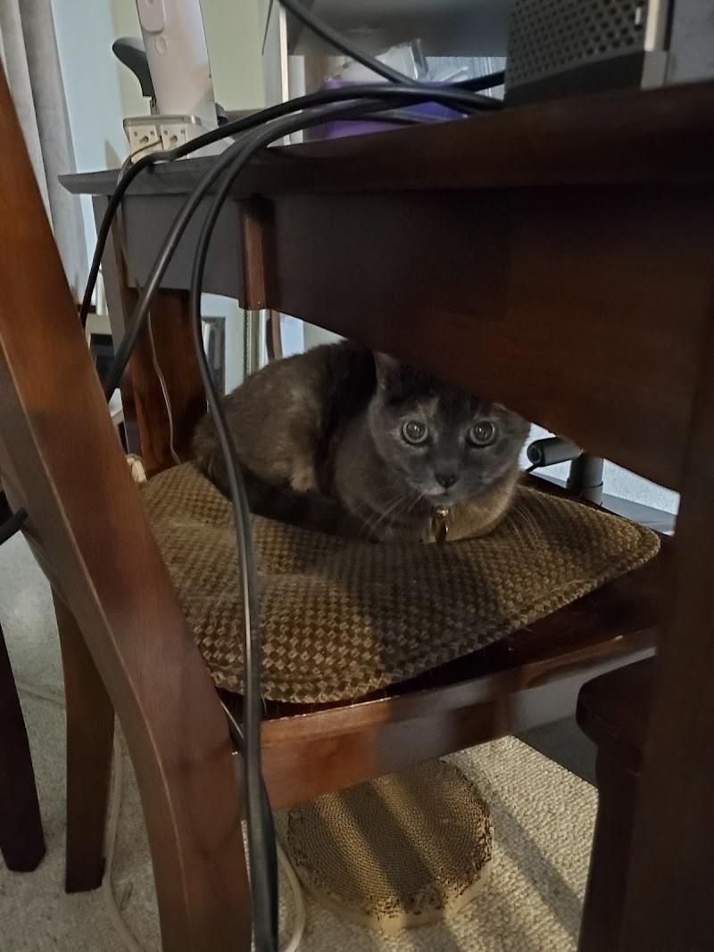 The Pet Nanny of Colorado LLC photo 2