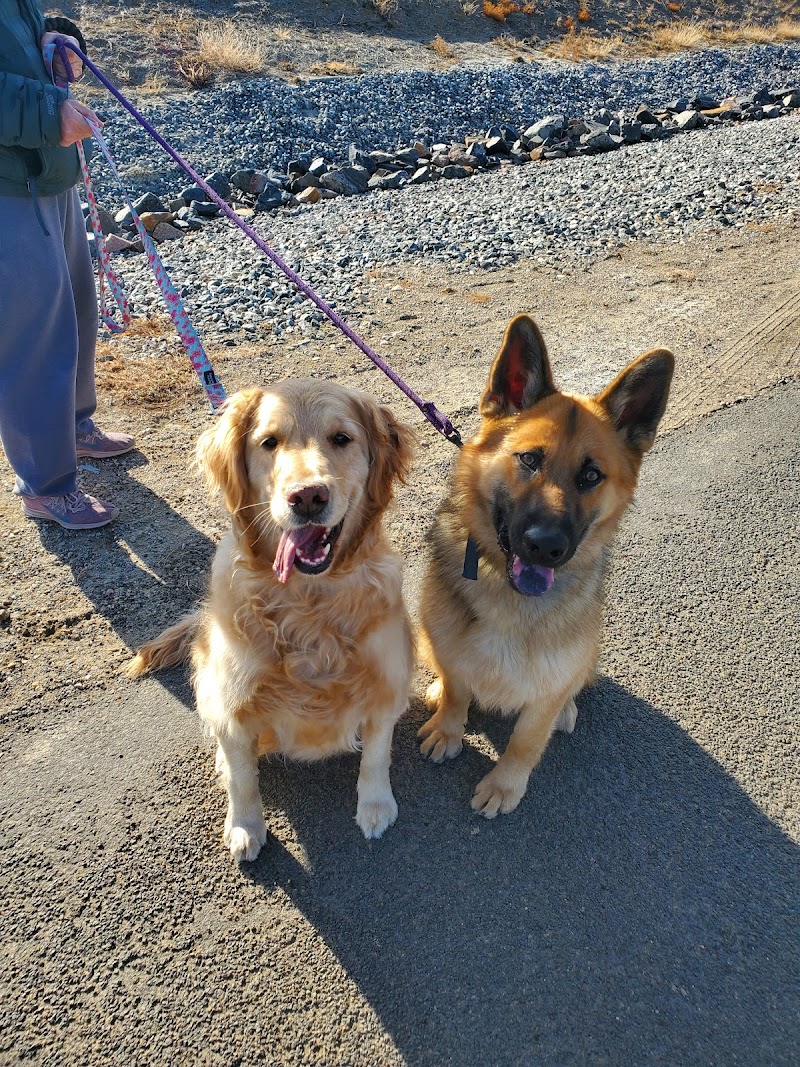 The Pet Nanny of Colorado LLC photo 3