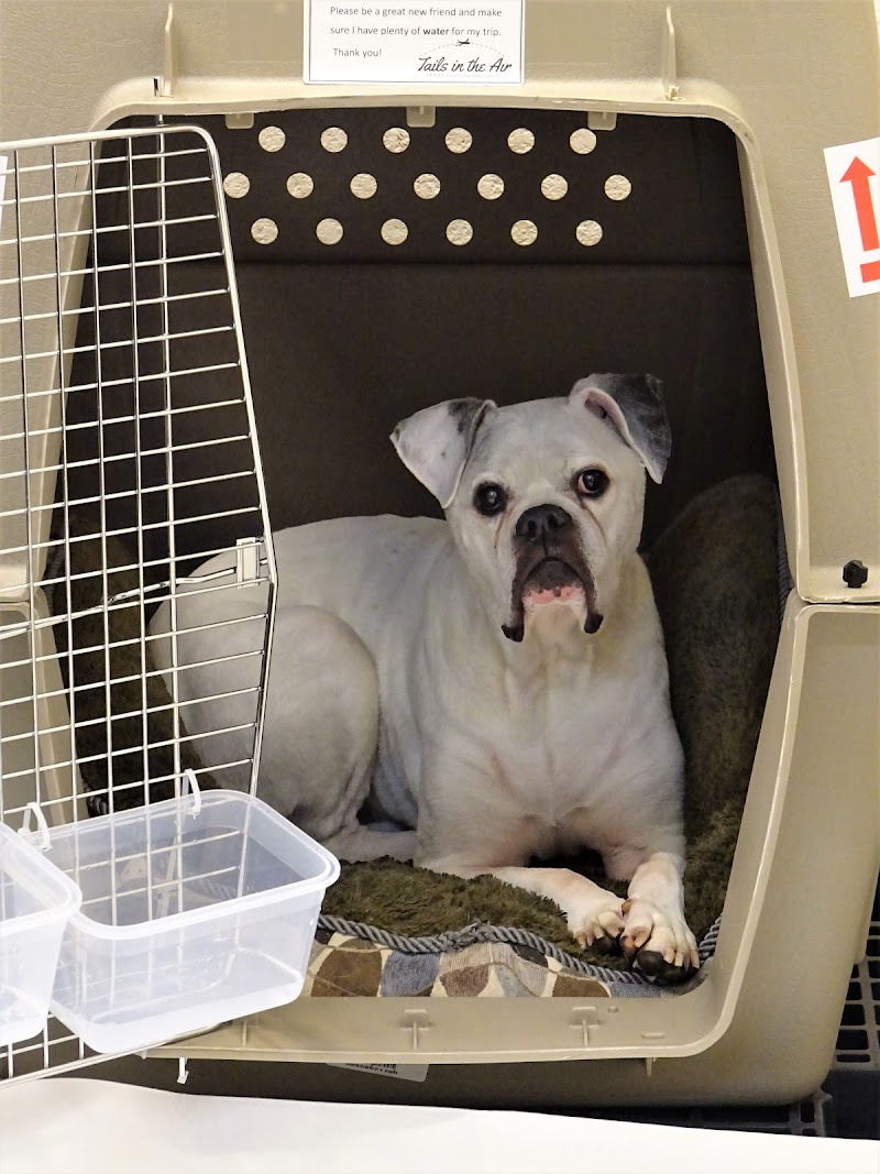 The Pet Porters - Pet Transportation Services photo 3