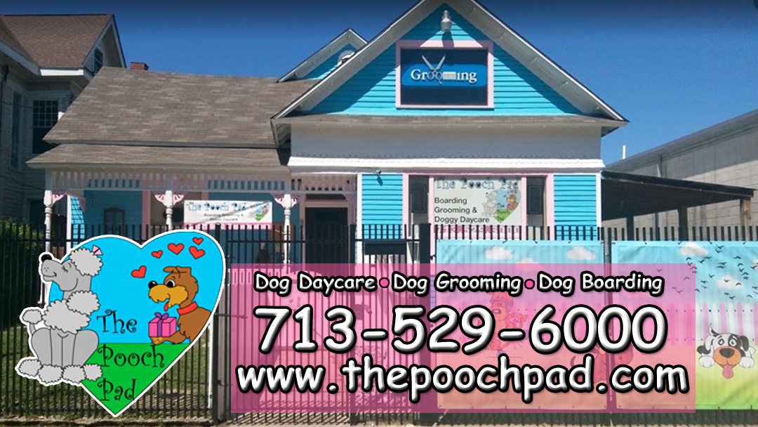 The Pooch Pad