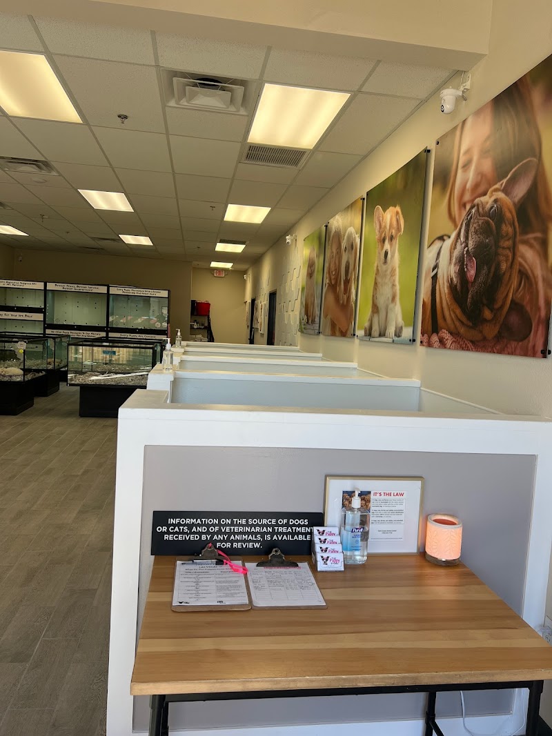 The Puppy Store Las Vegas photo 2