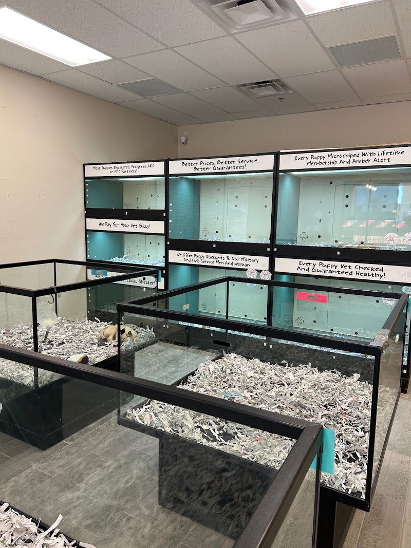 The Puppy Store Las Vegas photo 3