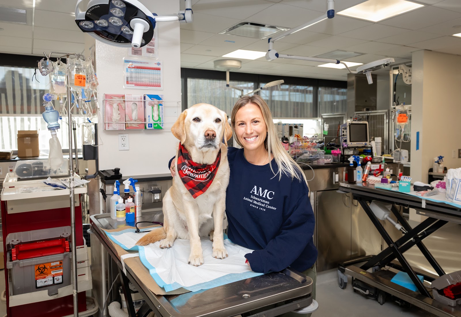 The Schwarzman Animal Medical Center