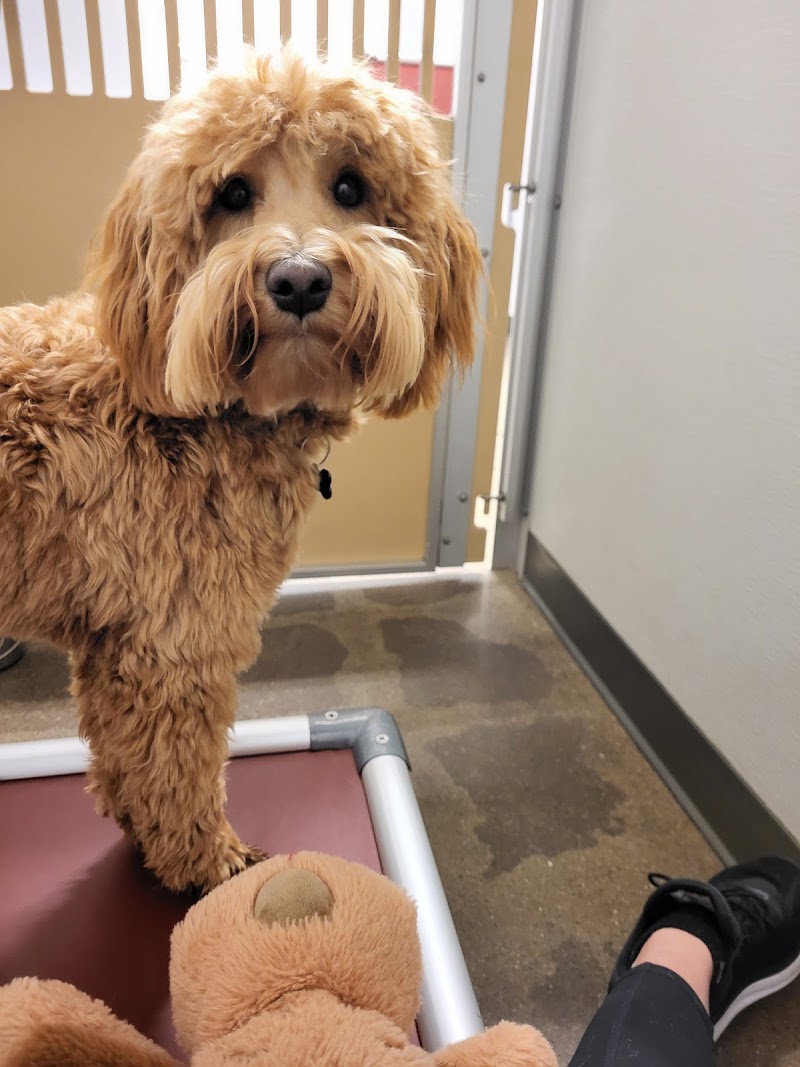 The Sniff Shack photo 2