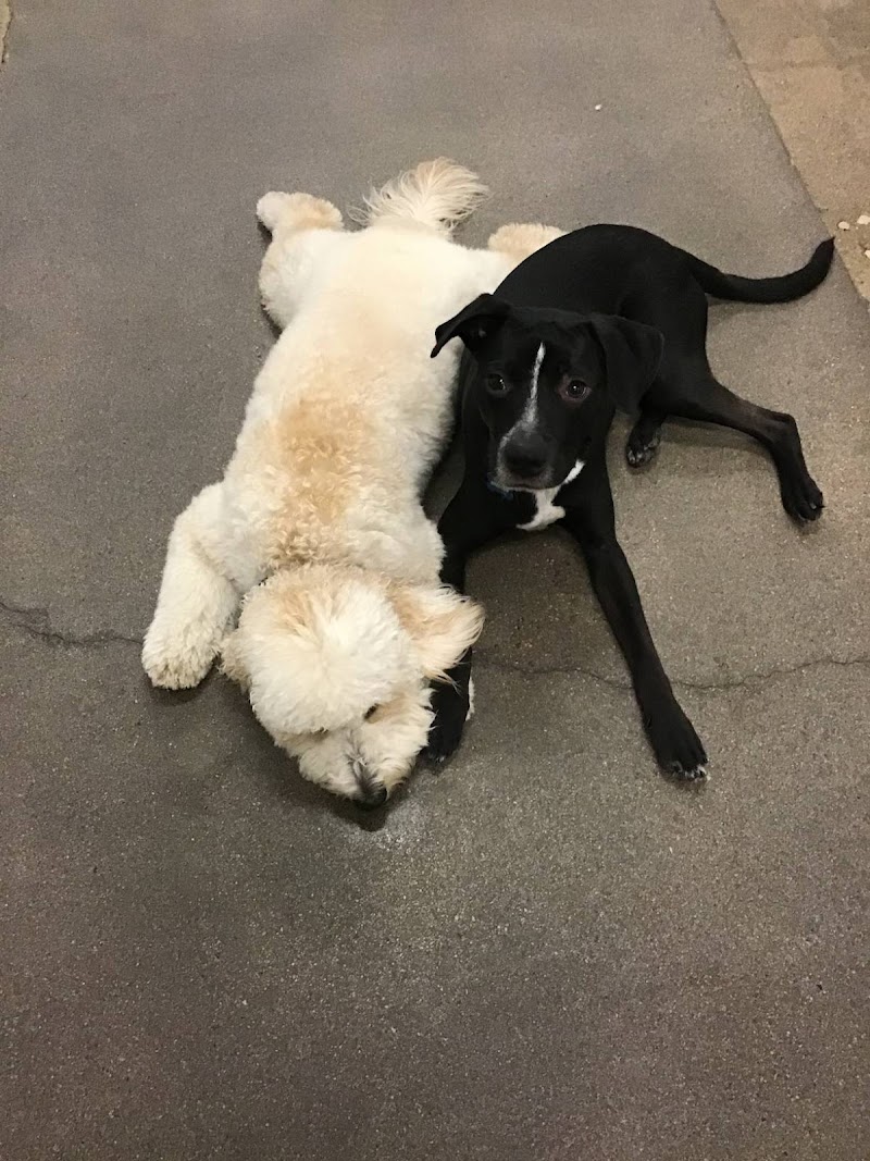 The Sniff Shack photo 3