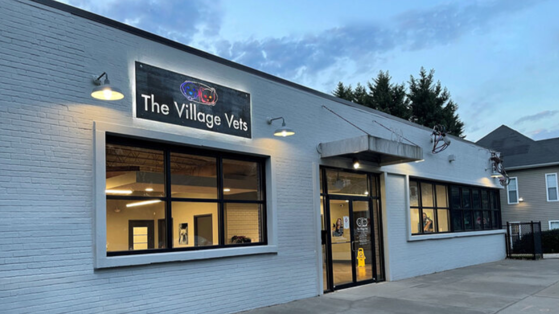 The Village Vets Virginia Highlands