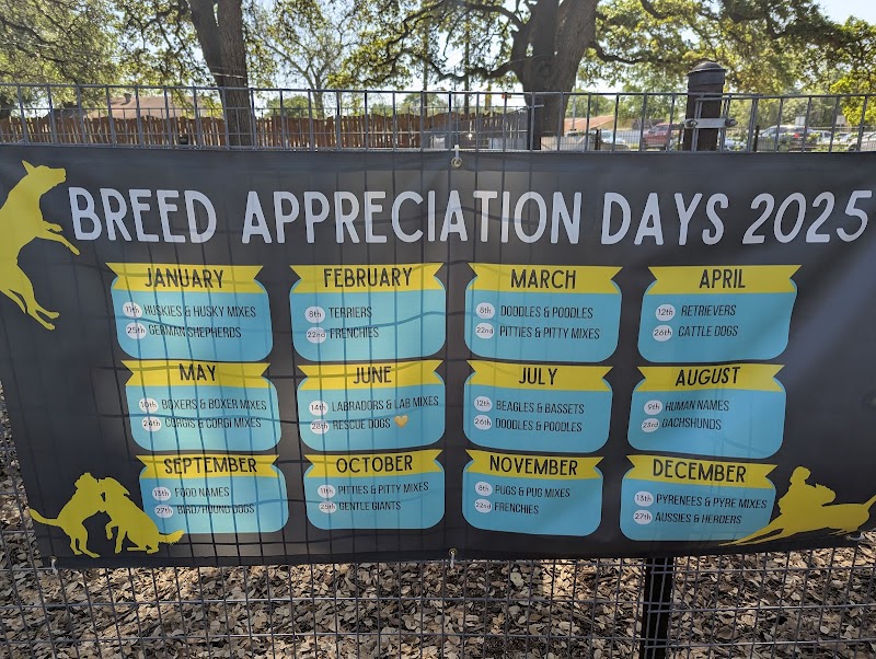 The Watering Bowl photo 2