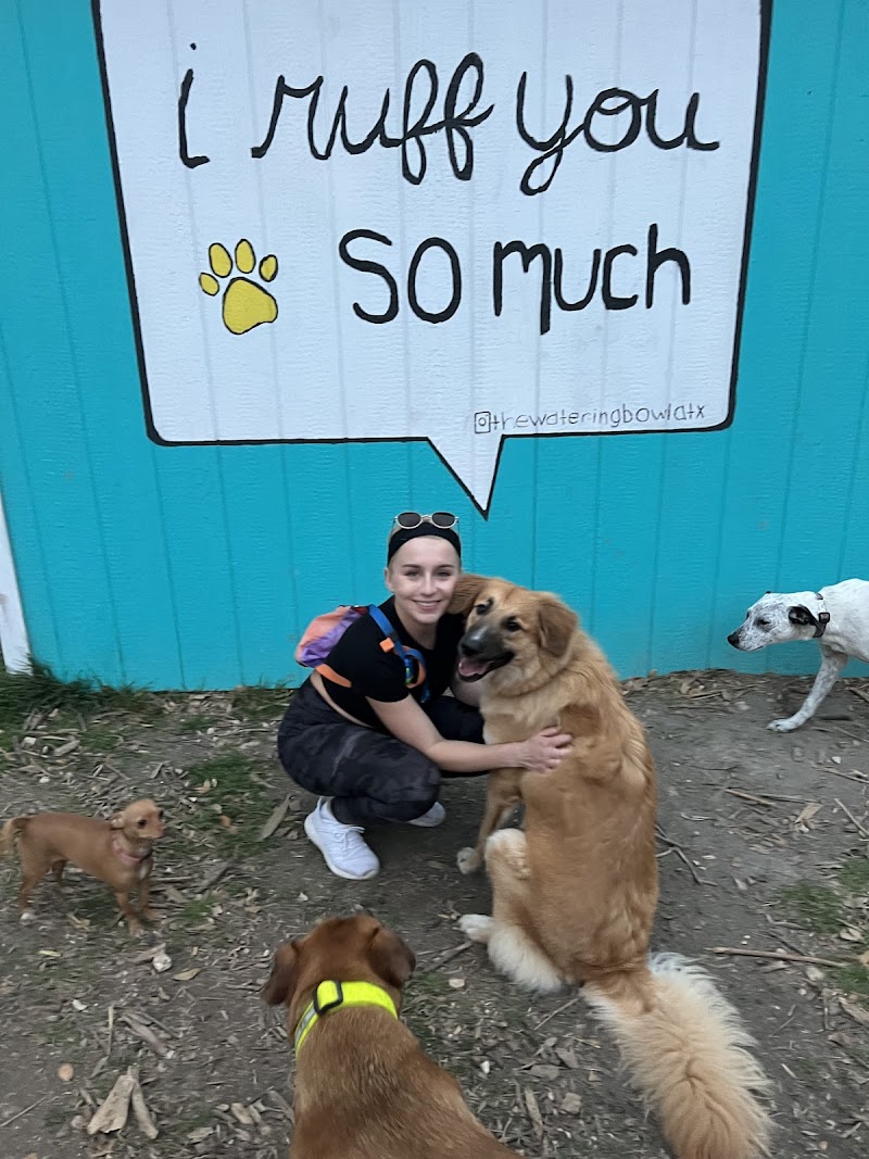 The Watering Bowl photo 3