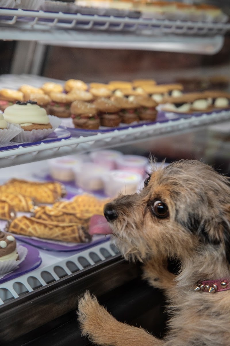 Three Dog Bakery photo 3