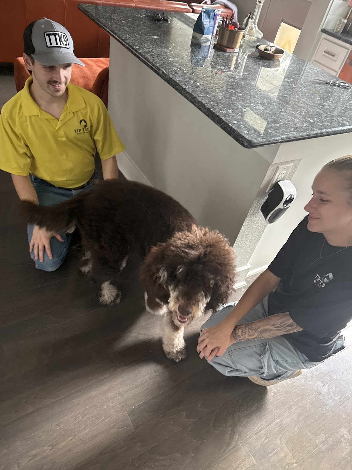 Tip Top K9 Dog Training Fort Worth photo 3