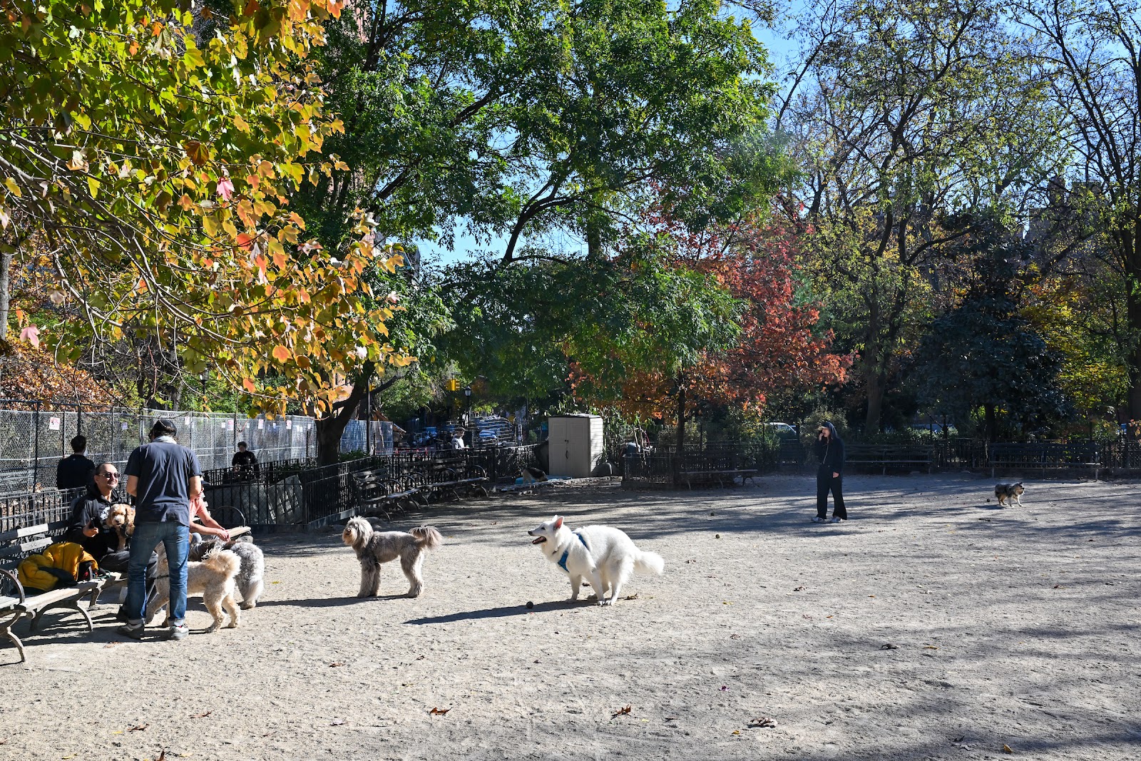 Tompkins Square Dog Run