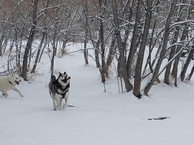 Tony Grampsas Dog Park