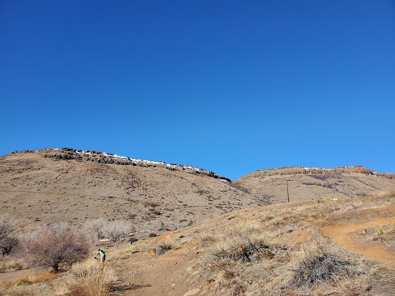 Tony Grampsas Dog Park photo 2