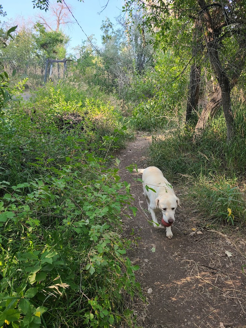 Tony Grampsas Dog Park photo 3