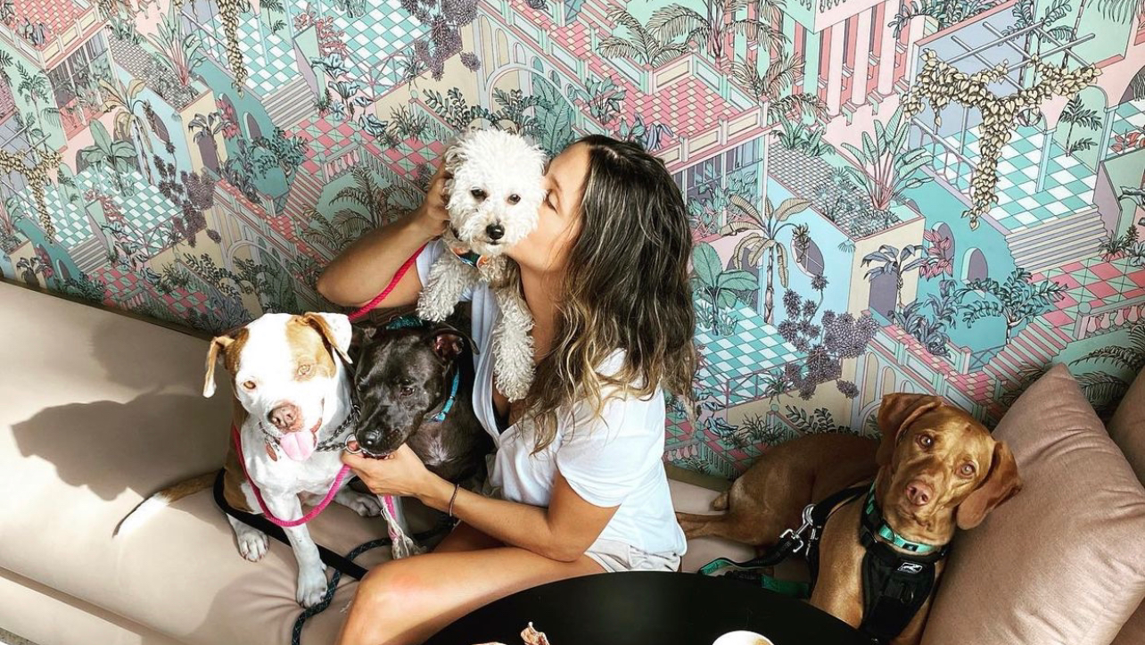 Top Dog Miami
