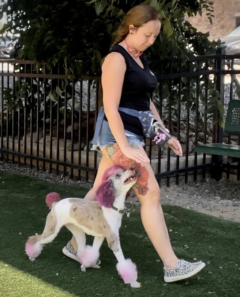 Top Paw K9 Academy photo 2