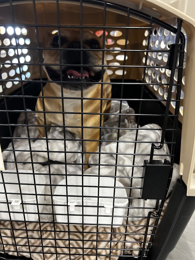 Transcontinental Pet Movers LLC