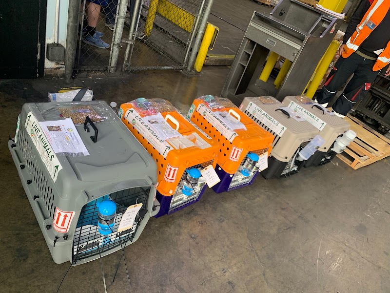 Transcontinental Pet Movers LLC photo 2