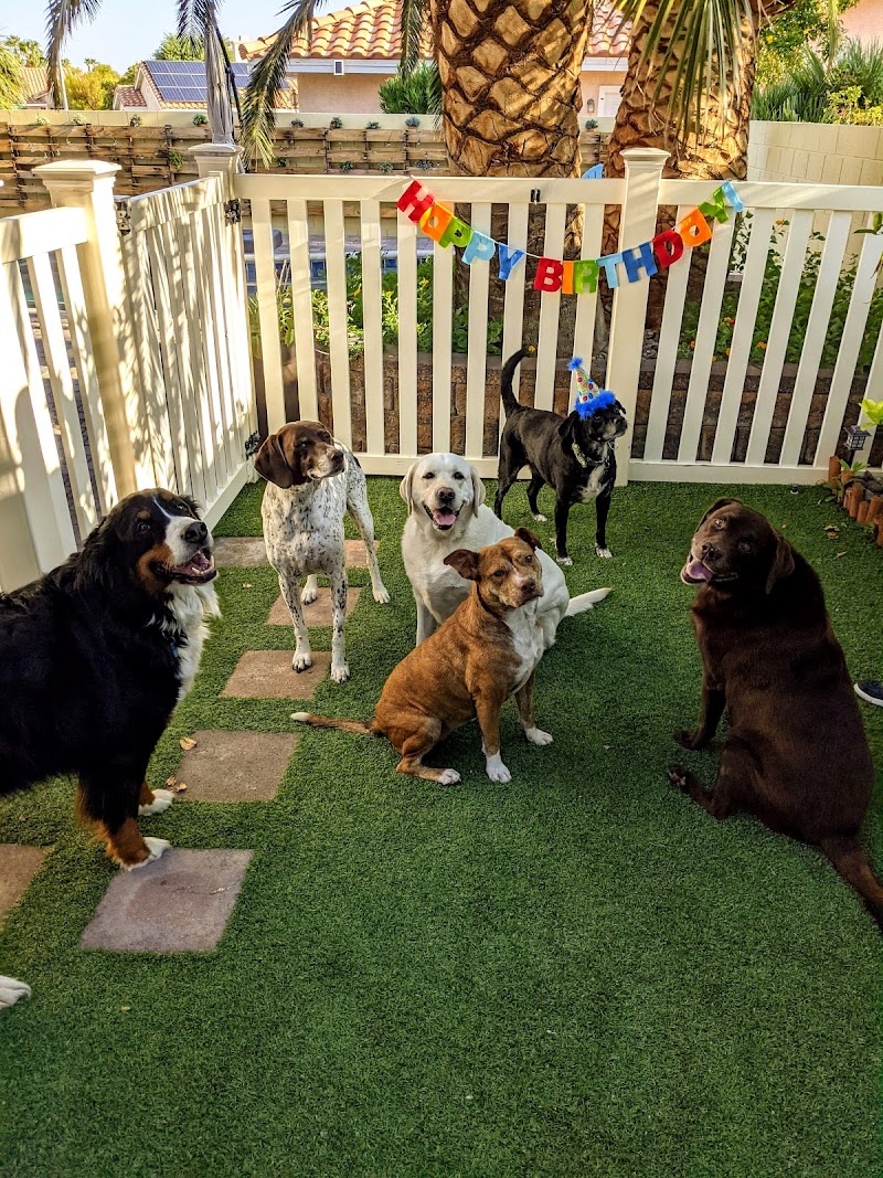 Treat Pet Sitting photo 2